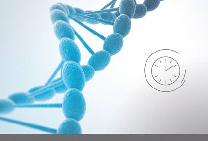 Anti-oxydant PHYTOBIOACTIF NUCLEOLYS