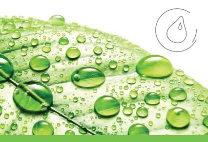 Hydratation_PHYTOBIOACTIF-Cariciline Hydratation PHYTOBIOACTIF Cariciline