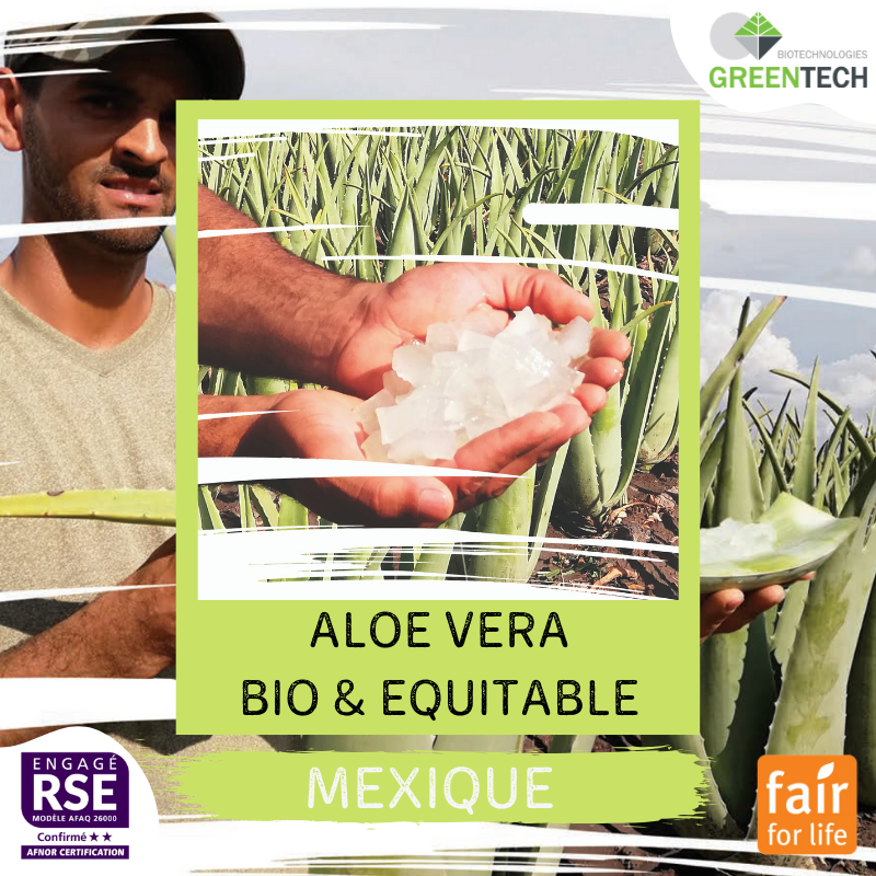 Our historical Supply Chains - #1 : Mexico, Organic & Fair-trade Aloe Vera