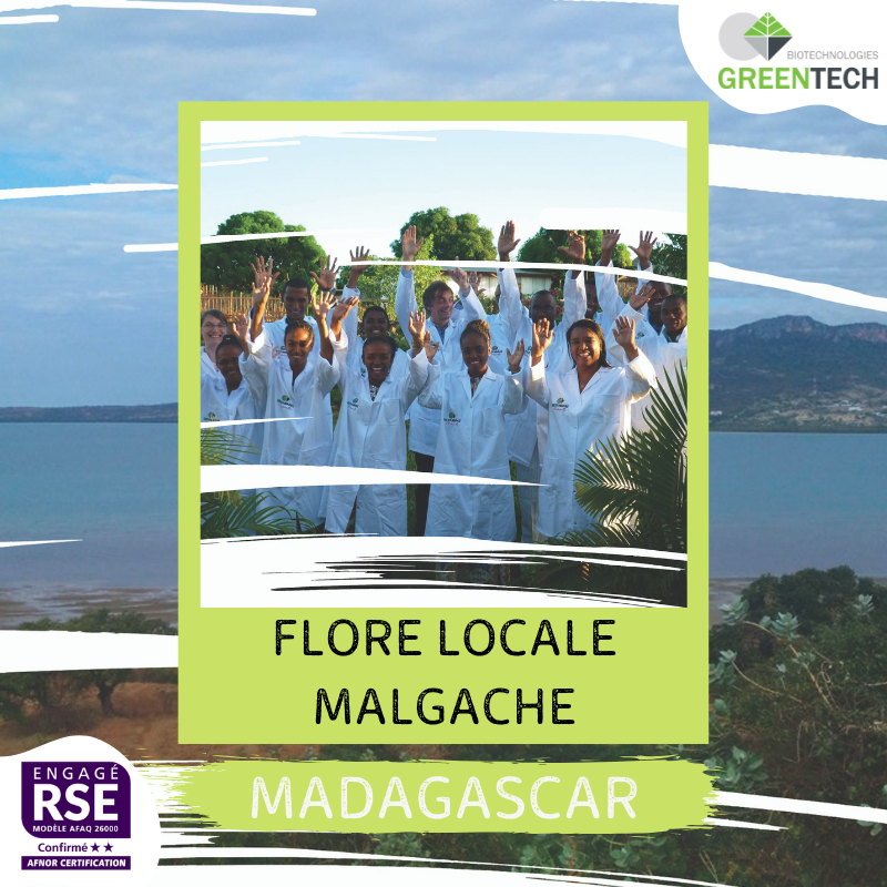 Our historical Supply Chains - #4 : Madagascar: Malagasy local flora