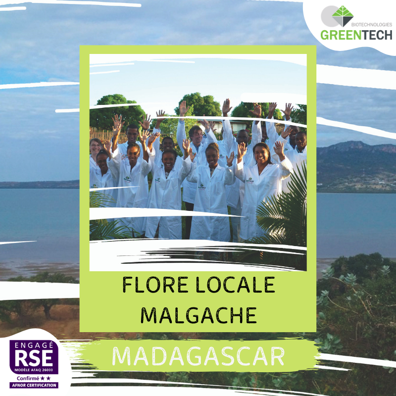 Nos filières historiques - #4 – Madagascar : Flore locale Malgache