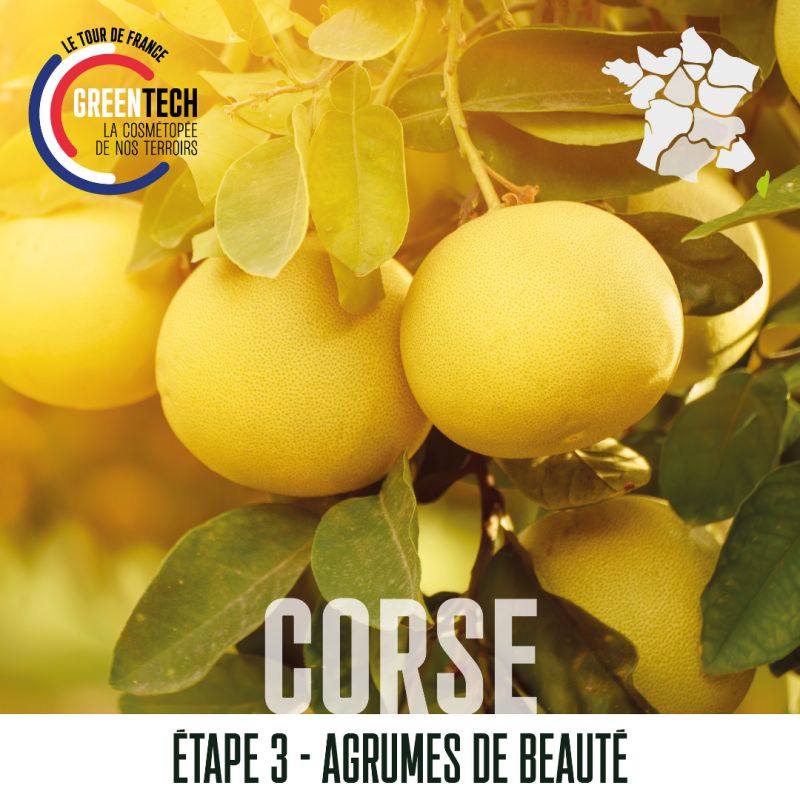 Tour de France GREENTECH - Etape 3: La Corse