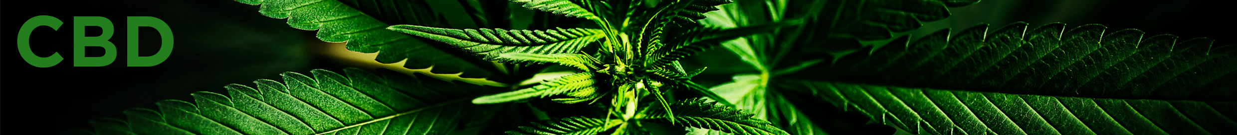 CBD Greentech