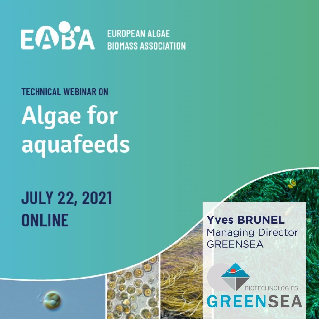 Greensea @EABA technical webinar on algae for aquafeeds