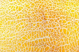 Hydralys melon
