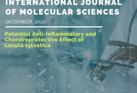 Potential Anti-Inﬂammatory and Chondroprotective Effect of Luzula sylvatica