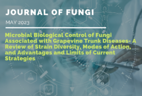 Greencell Greentech group scientific article vine